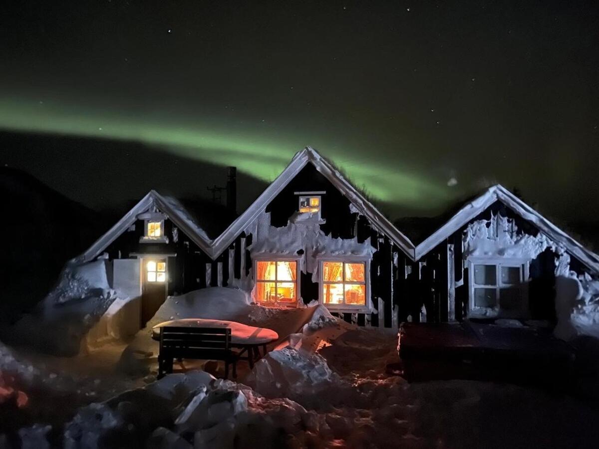 Þingvellir Golden Circle Cottage Veithilundur Exteriör bild