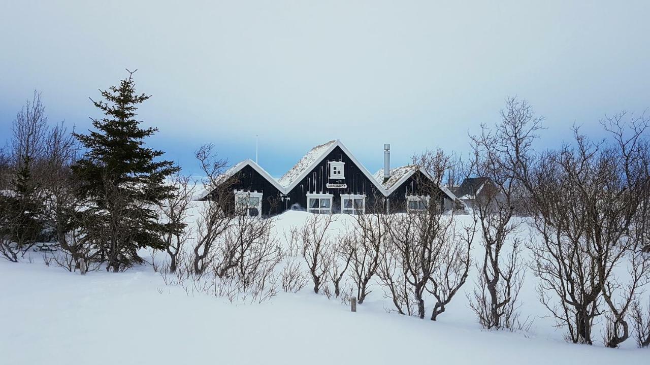 Þingvellir Golden Circle Cottage Veithilundur Exteriör bild